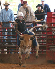 SteerRiding02.jpg